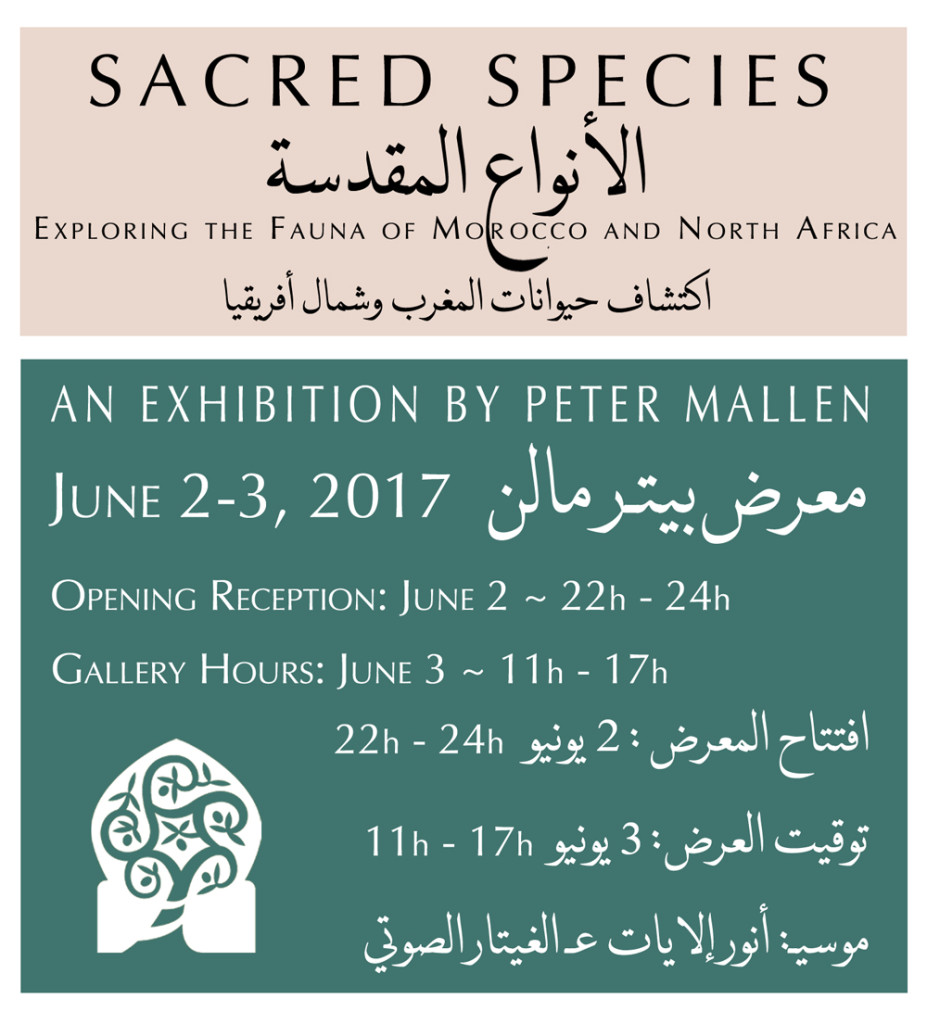 Mallen Exhibition at Green Olive Arts